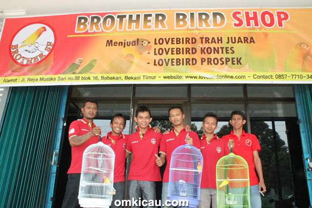 Brother Bird Shop