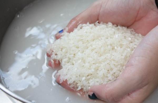 Air bekas cucian beras bisa membantu membuat bulu-bulu burung pleci tetap sehat dan berkilauan