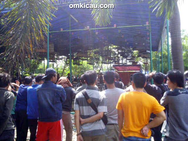 Pesta Kicau Mania BCI Cengkareng