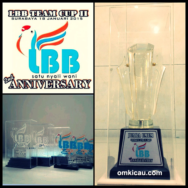 Trofi LBB Team Cup 2