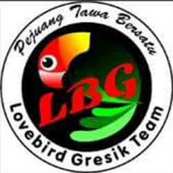 Logo LBG Team