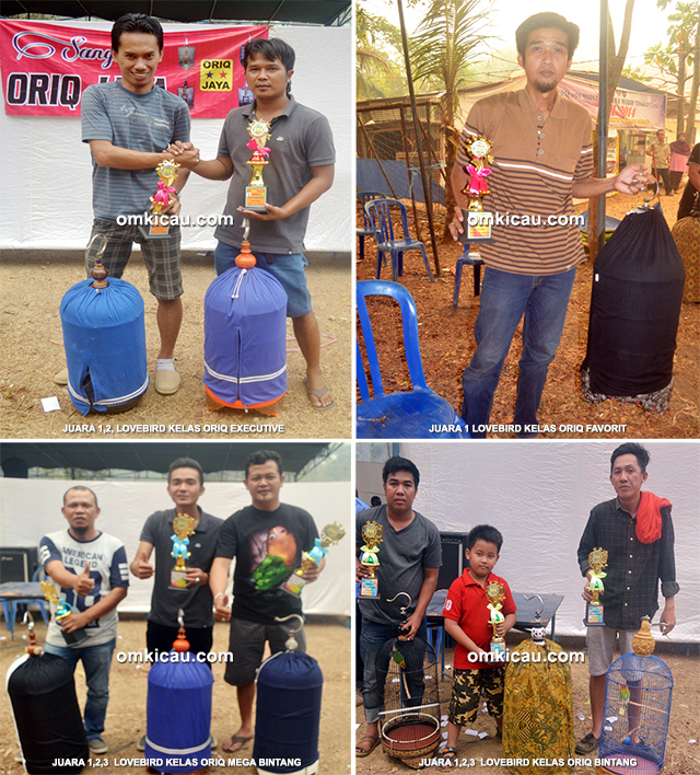 Para juara lovebird Oriq Jaya Cup
