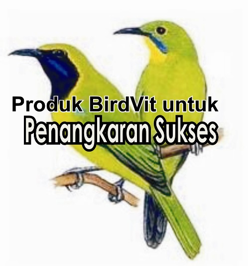 PRODUK KESEHATAN BURUNG – OM KICAU