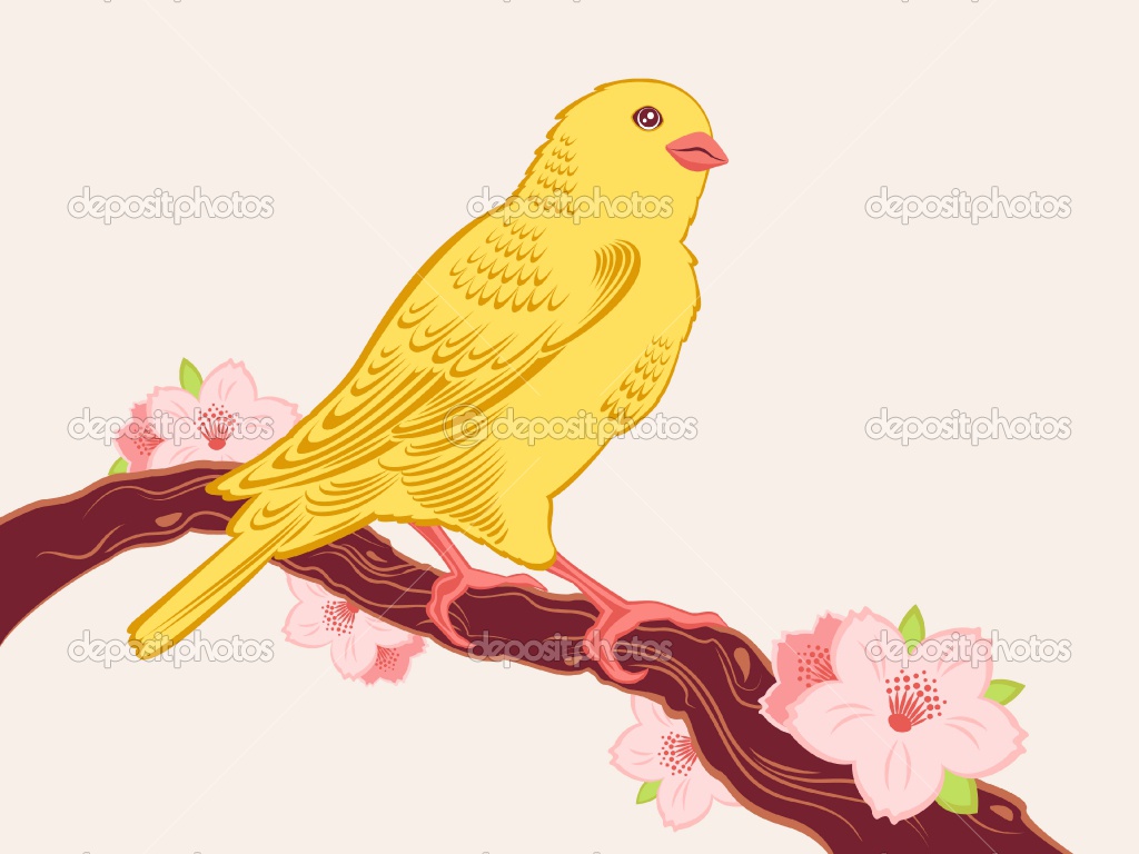 Wallpaper Gambar Animasi Burung Kampung Wallpaper