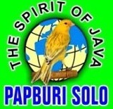 Logo Papburi Solo