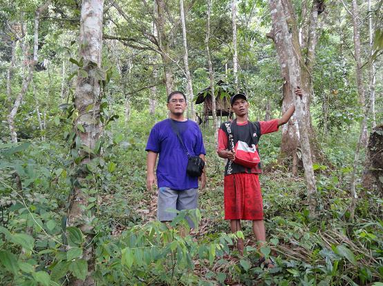 Di tengah hutan areal perbukitan menuju lokasi murai batu berada