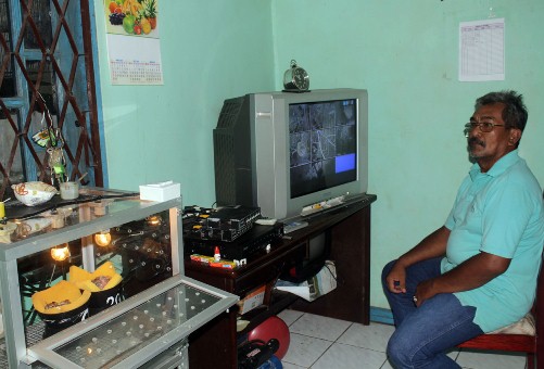 Memantau perkembangan anakan dari ruang monitor