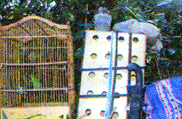 Peralatan jaring burung di Kalimantan
