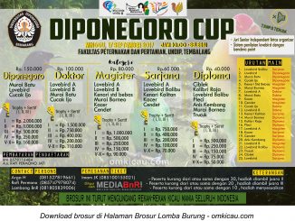 diponegoro cup