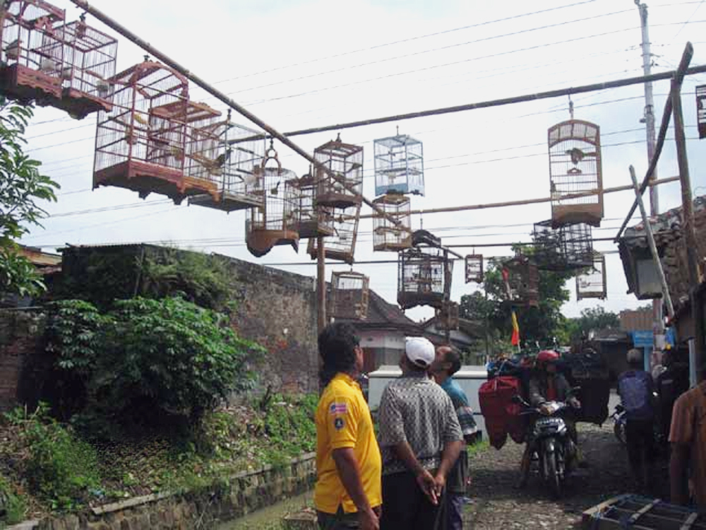 pasar-burung-kepuh