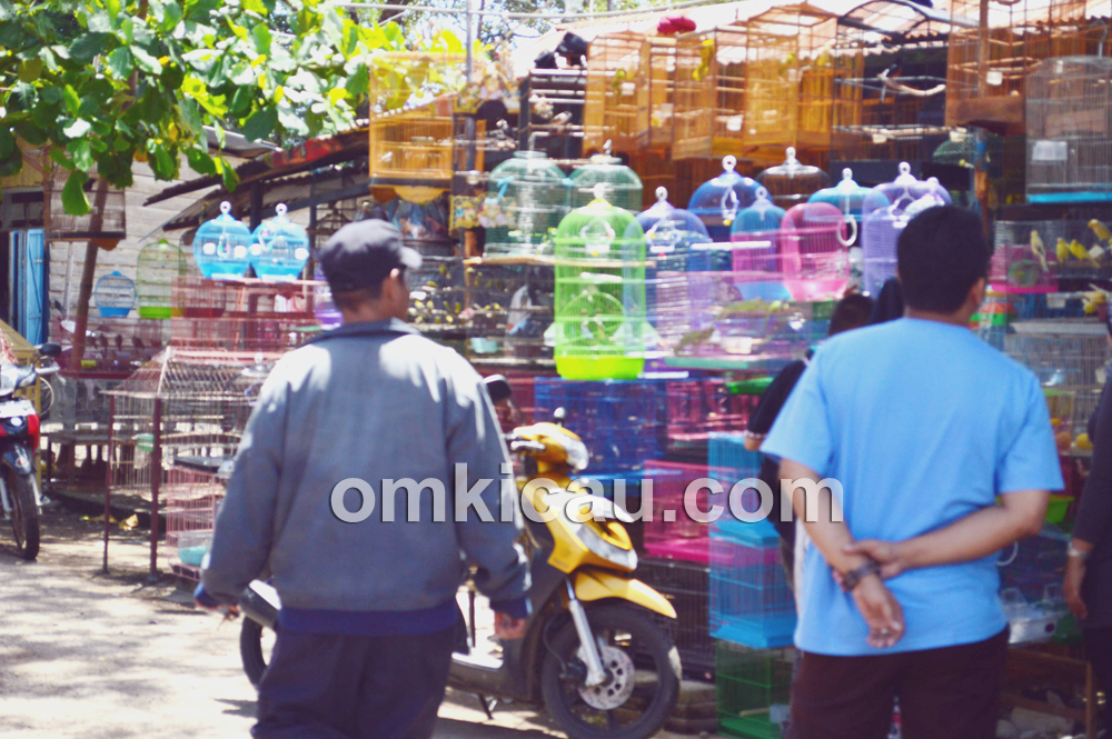 Pedagang sangkar burung pun ikut menikmati rezeki. (Foto: Om Pay)