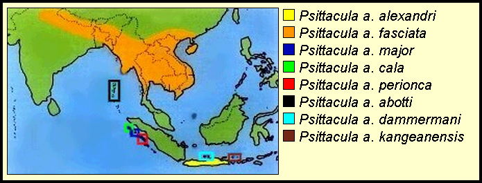 Daerah sebaran burung betet