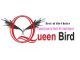 Queena Bird Bogor