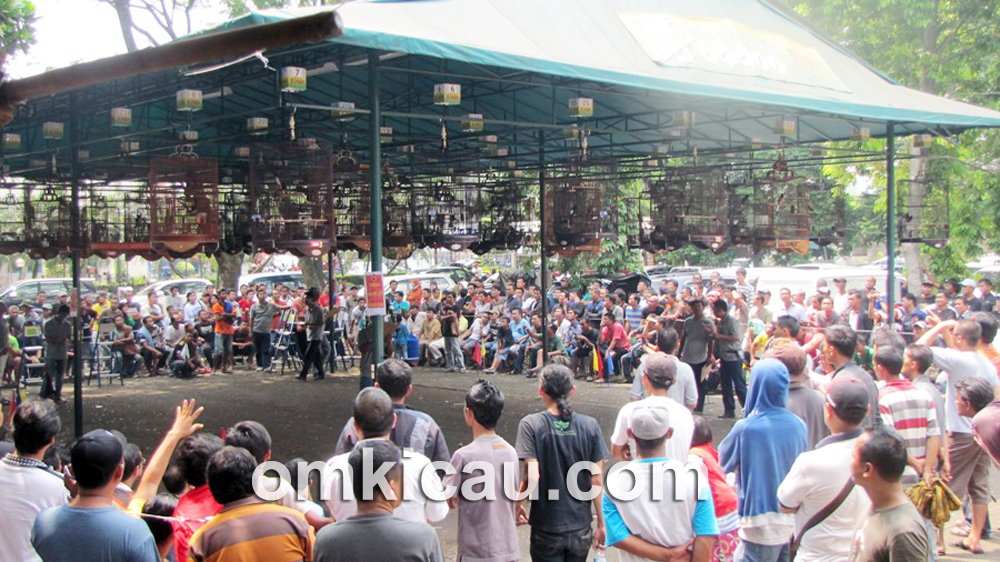 Even Rajawali S3 BC di BSD Tangerang, Minggu (5/5) diluberi peserta dan penonton.