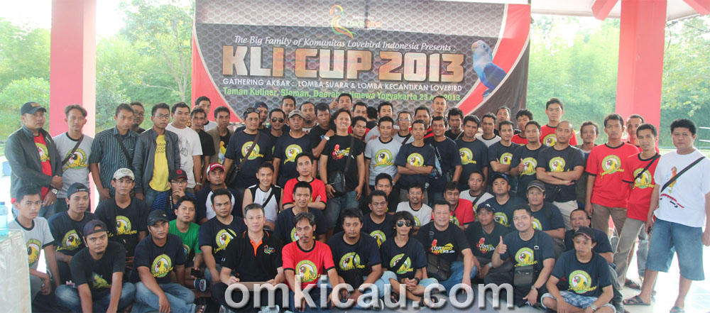 KLI Cup 2013