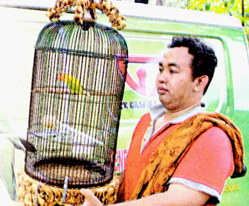 Yayat Andrianto, perawat lovebird jawara