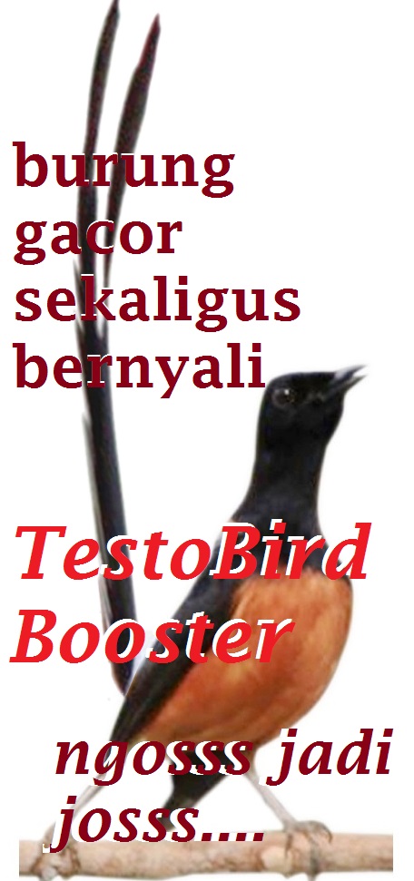 Testo Bird Booster
