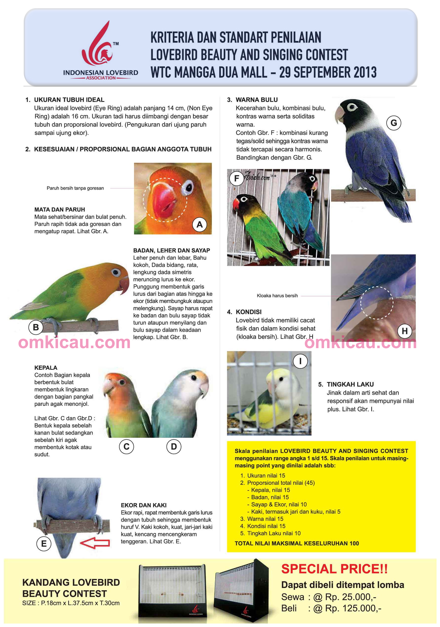 Kriteria penilaian lomba lovebird