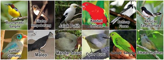 Daftar burung dalam kategori terancam