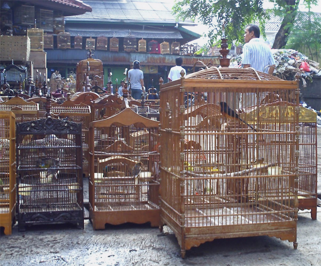 Pasar Burung Pramuka
