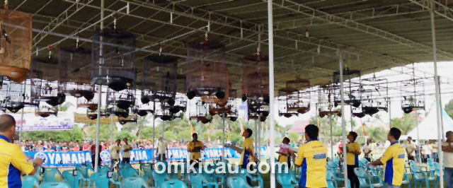 Sesi murai batu Final Liga Sumatera