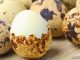 Manfaat telur puyuh bagi burung