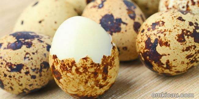 Telur puyuh rebus untuk burung gelatik wingko OM KICAU