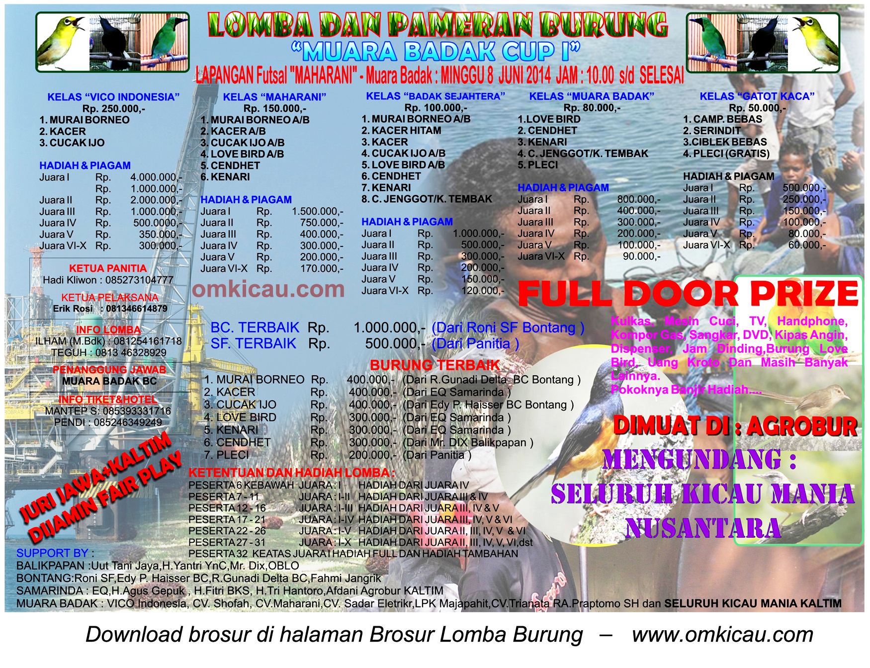 Brosur Lomba Burung Berkicau Muara Badak Cup I, Kutai Kartanegara, 8 Juni 2014