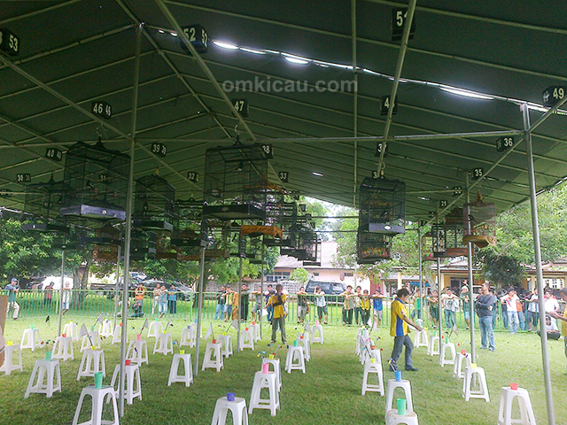 Lomba burung berkicau Bupati Cup Lampung Utara