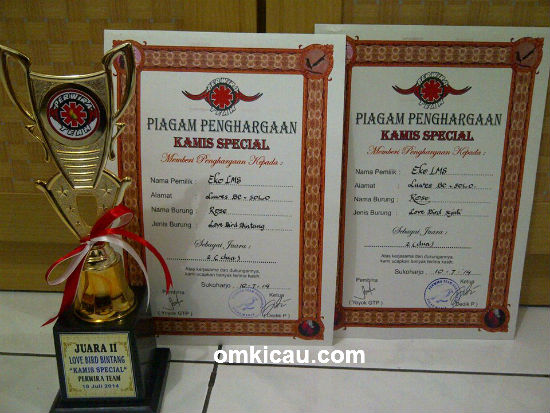 Piala dan piagam lovebird Rose