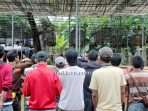 Lomba Burung Ramadhan Fiesta Mampang
