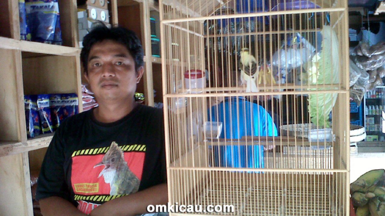 Om Rizky Abadi Sukses Beternak Kenari Dan Toko Burung Di Rembang