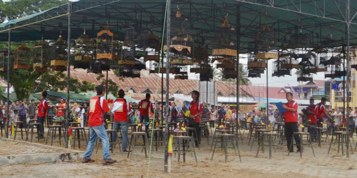 Lomba Burung Berkicau SangaSanga Cup I