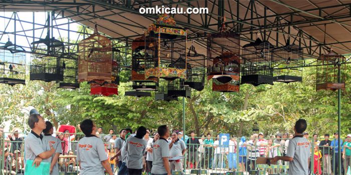 Suasana lomba kelas kacer