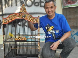 Om Wahyu Semarang dan kenari Oscar
