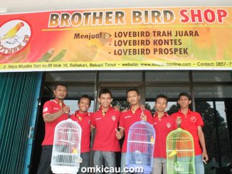 Brother Bird Shop