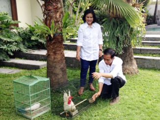 Jokowi dan Iriana hobi burung