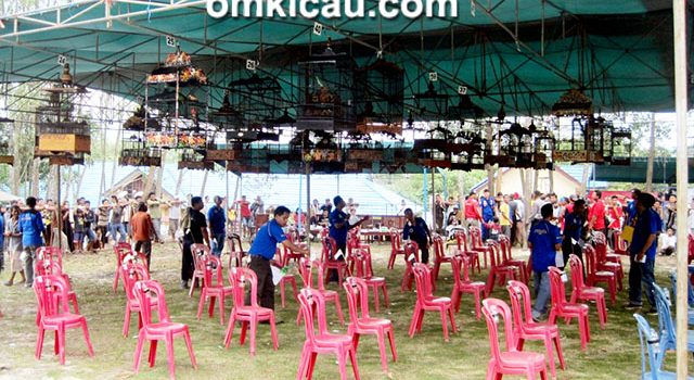 Lomba Burung HUT Polairud Balikpapan