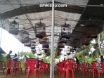 Angsana Muda Cilacap - kelas murai batu