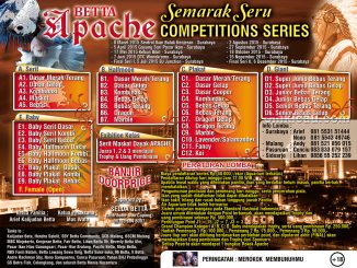 Brosur Serial Kontes Cupang Betta Apache, Surabaya
