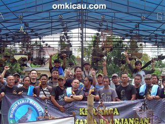 Keluarga Kicaumania Branjangan Indonesia (KKBI)