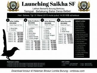 Brosur Latber Burung Berkicau Launching Saikha SF, Cirebon, 31 Maret 2015