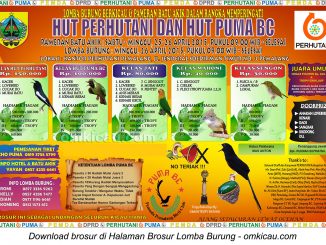 Brosur Lomba Burung HUT Perhutani - HUT Puma BC, Pemalang, 26 April 2015
