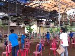 Angsana Muda - kelas cucak hijau
