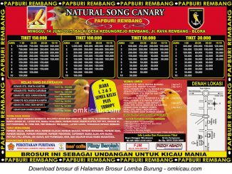 Brosur Lomba Natural Song Canary Papburi Rembang, 14 Juni 2015
