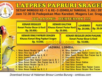 Brosur Latpres Papburi Sragen, 5 Juli 2015