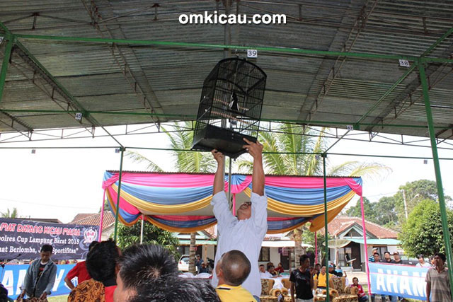 Lomba burung berkicau Kapolres Cup Lampung Barat