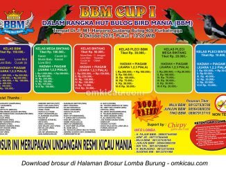 Brosur Lomba Burung Berkicau BBM Cup I, Purbalingga, 4 Oktober 2015