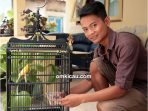 tali ranjau untuk kenari