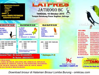 Brosur Latpres Burung Berkicau Jatirogo BC, Tuban, 18 Oktober 2015